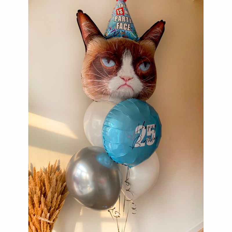 Шарики с котом на день рождения