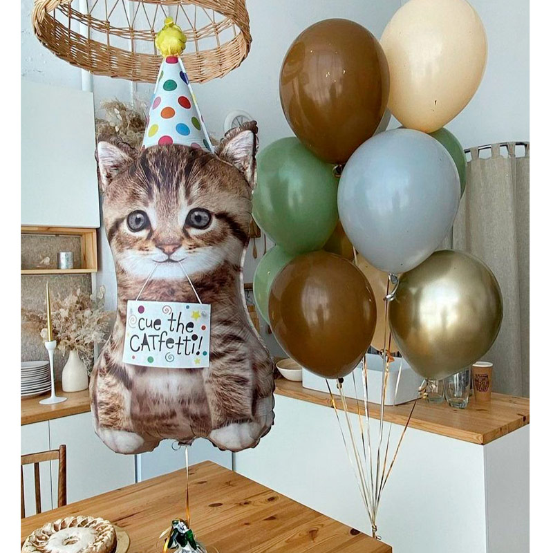 Шарики с котенком на день рождения набор