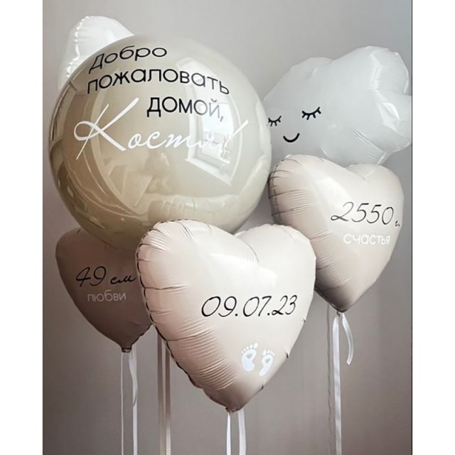 Воздушные шары на выписку "Дома"