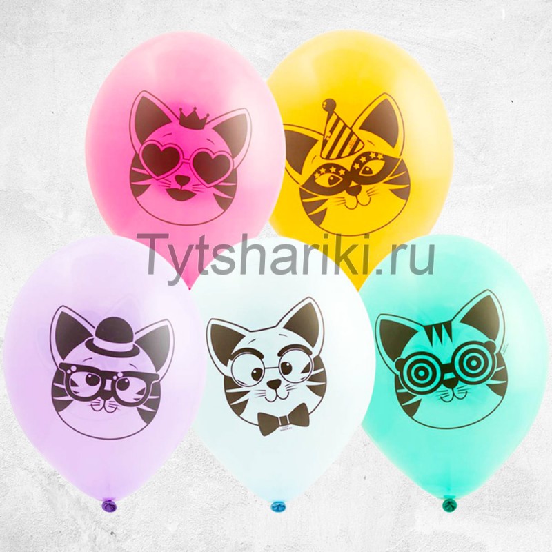 Воздушные шары с гелием коты