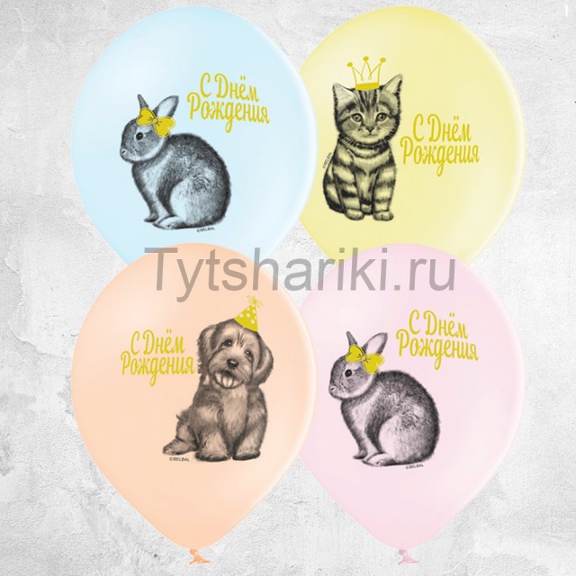 Гелиевые шарики "Домашние питомцы на день рождения" - 1103-2160