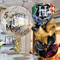 Комплект шаров Гарри Поттер "5 лет магии"