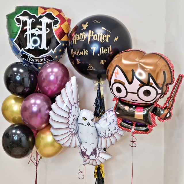 Шары на день рождения "Гарри Поттер и волшебство"